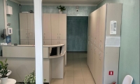Константа